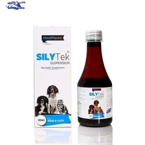 SILYTEK (SYRUP)